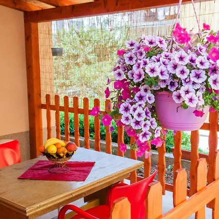 Guest house Anita 3*